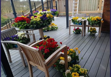 Hamberley Care Homes