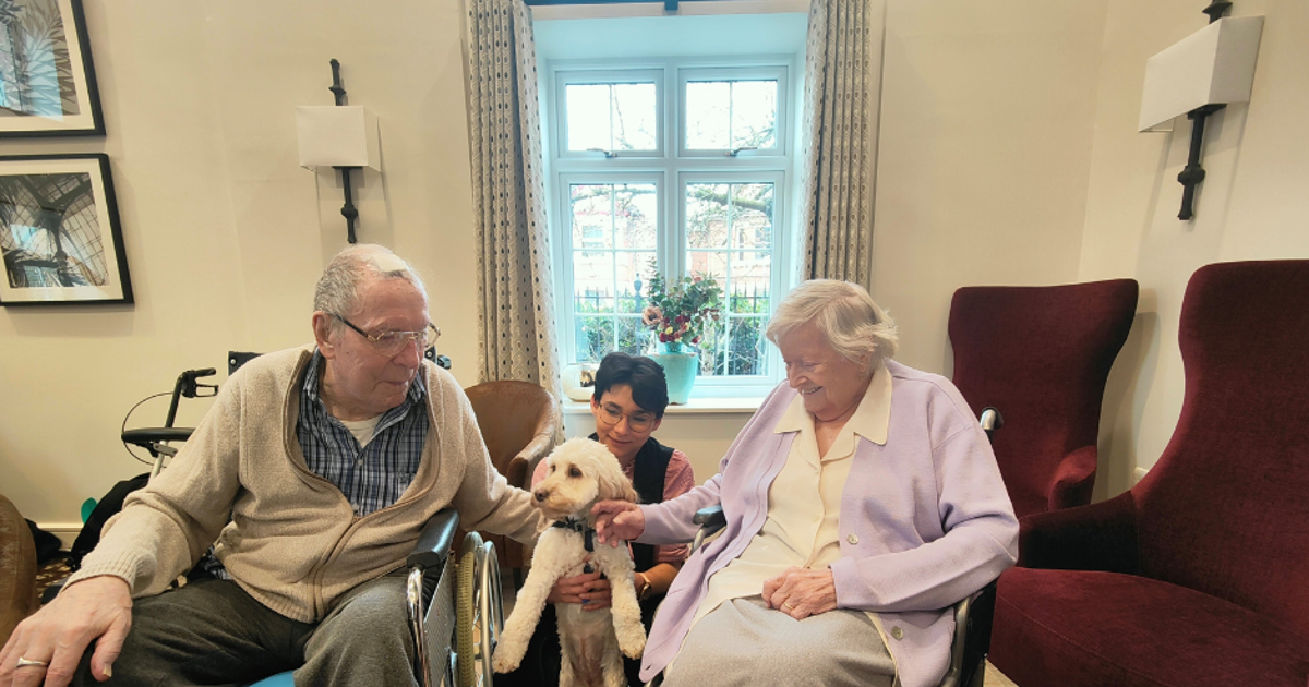 Lifesaving dogs stop by to visit Alston House residents