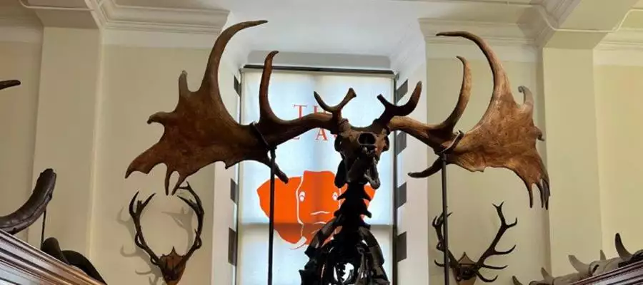 Montague House residents enjoy a lesson in history Montague House residents enjoy a lesson in history