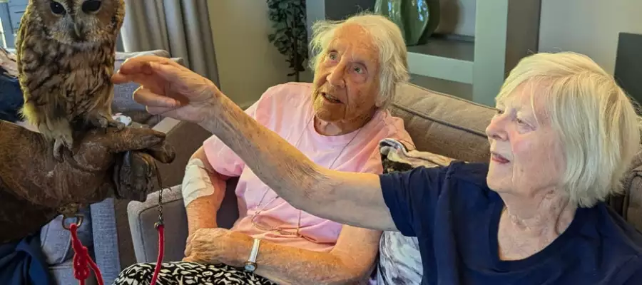 Cambridge Grove Residents Make Some Impressive Feathered Friends Cambridge Grove Residents Make Some Impressive Feathered Friends