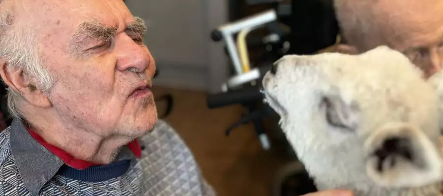 Adorable Animals Bring Feel-Good Factor To Abbots Wood Manor Adorable Animals Bring Feel-Good Factor To Abbots Wood Manor